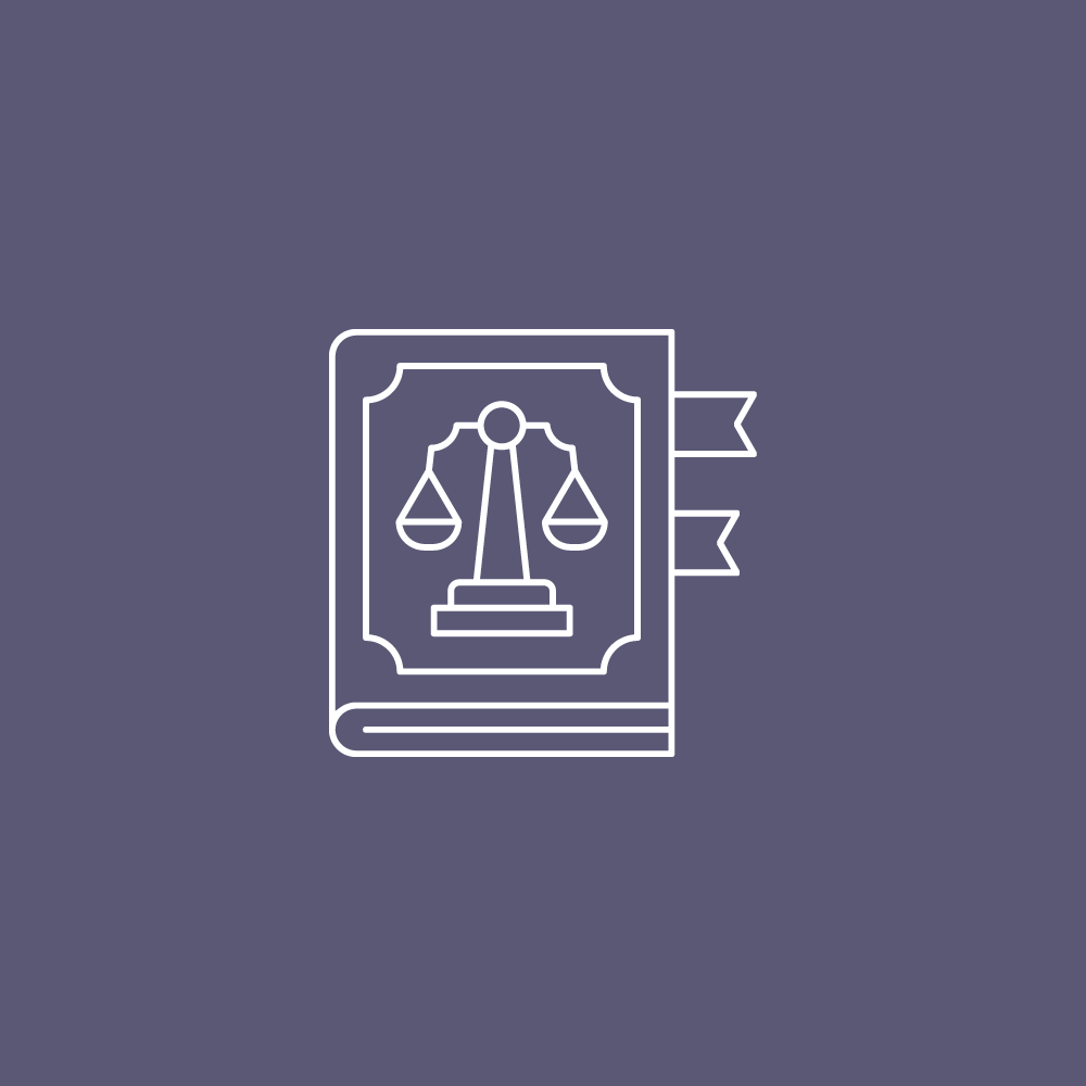 Patent Litigation Support